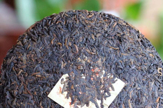 南糯山姑娘寨古树茶特点