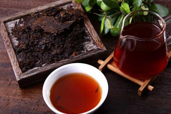熟普洱茶致癌是肯定的，谬论(没有科学依据)