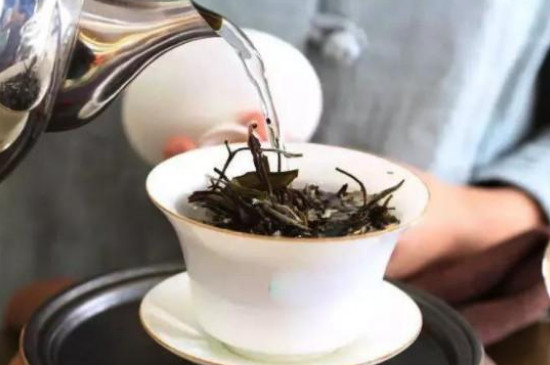 福鼎老白茶多少錢一斤