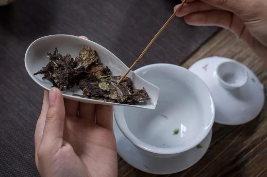 白茶饼怎么冲泡