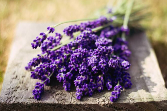11種花茶搭配表，花茶如何搭配對人體有好處