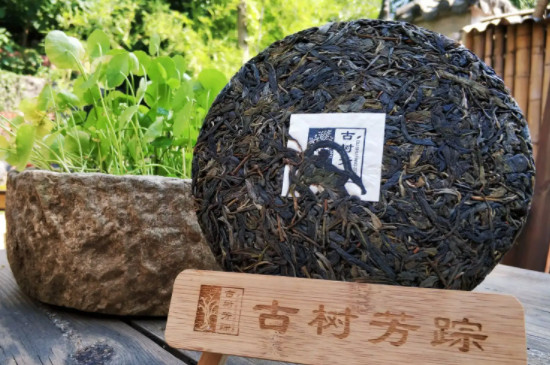 老曼峨古樹茶口感特點