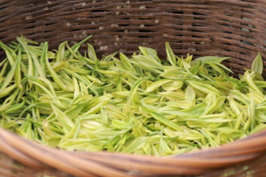 贵定云雾茶怎么样