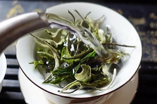 泡茶水温