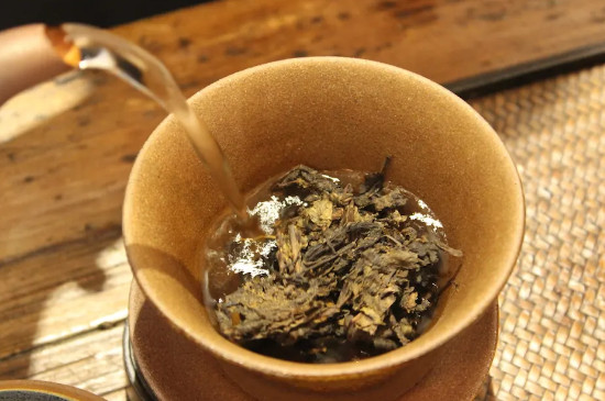 茯茶怎么泡