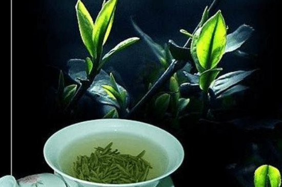 天台山雲霧茶多少錢一盒,100～4200元左右一斤