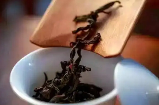 去武夷山買巖茶攻略