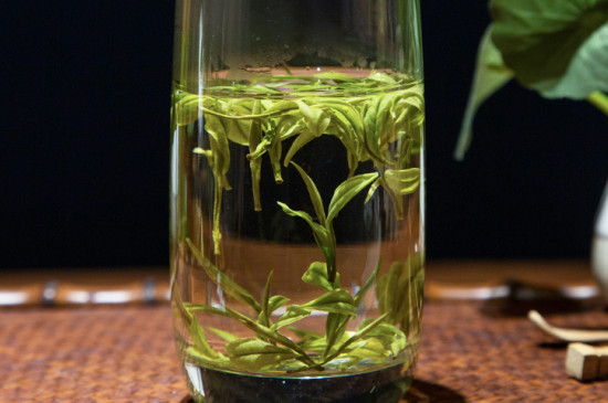 安吉白茶的特点