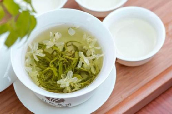 茉莉花是什么茶