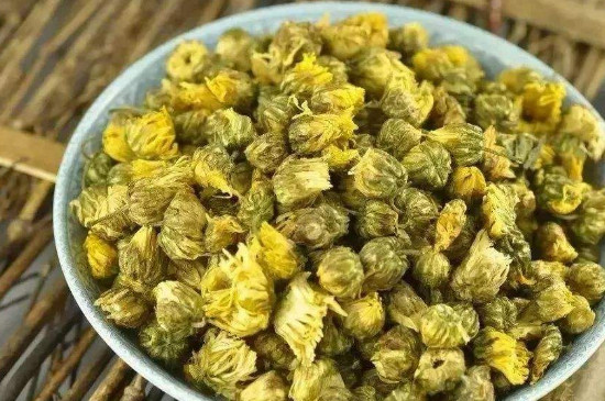 菊花茶用什麼菊花