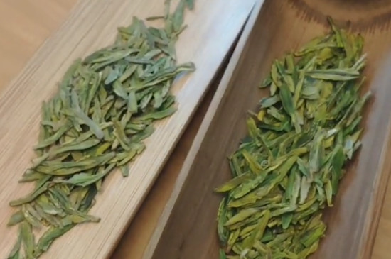 龙井茶什么季节喝最好