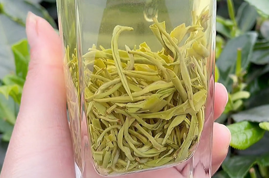 女性喝碧螺春茶的好處