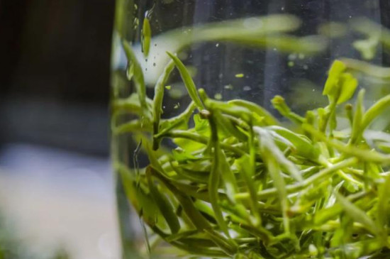 径山茶和龙井茶的区别