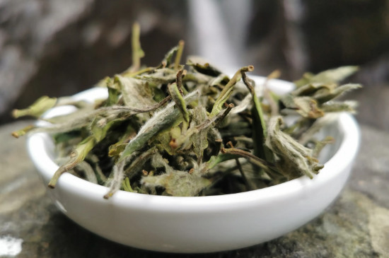 白牡丹用多少度的水來泡