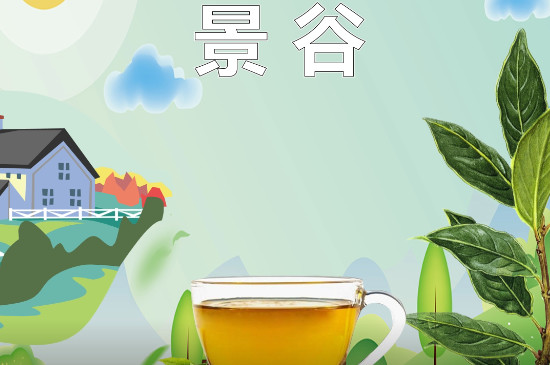 白茶的产地