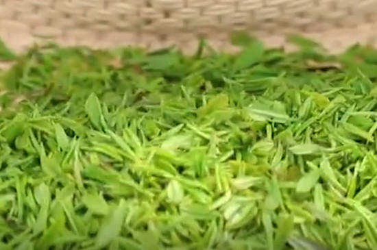 日照綠茶的功效