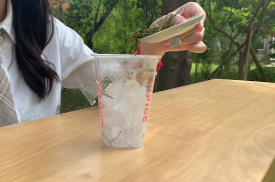 什么茶叶可以做冷泡茶