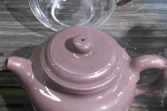 紫砂如何養