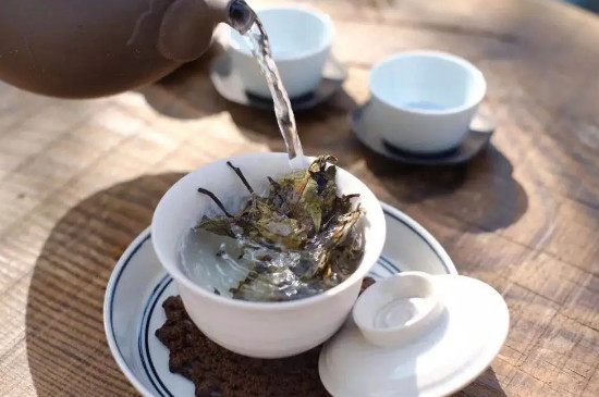 普洱茶餅怎麼泡