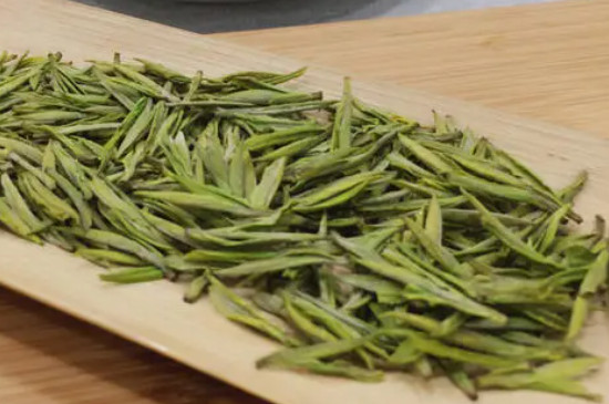 安吉白茶是属于什么茶类