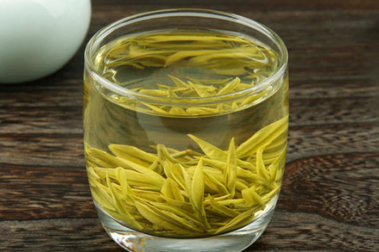 安吉白茶什么季节喝最好，安吉白茶什么季节的好