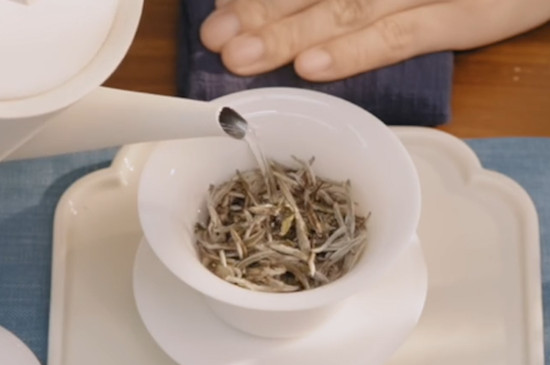 福鼎白茶白毫银针怎么泡