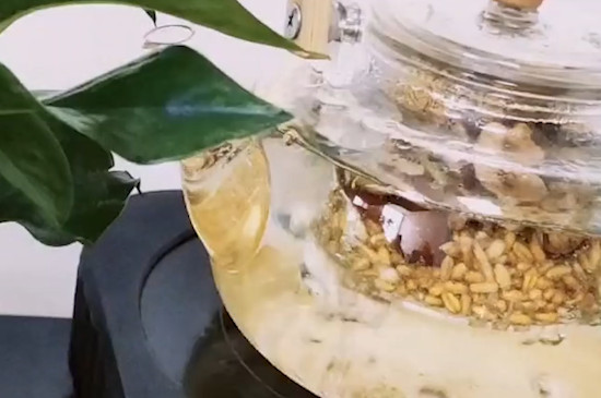 女性喝大麥茶的好處