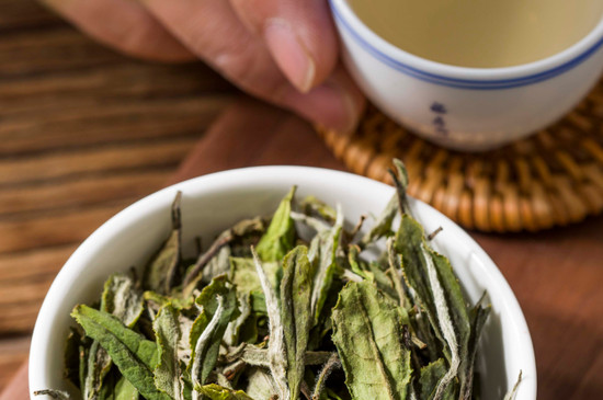 老树贡眉和福鼎白茶区别