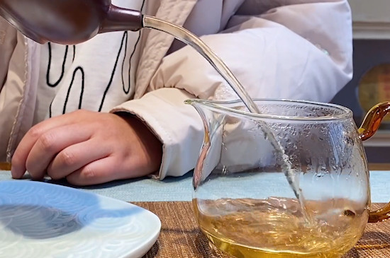 怎麼區別普洱茶