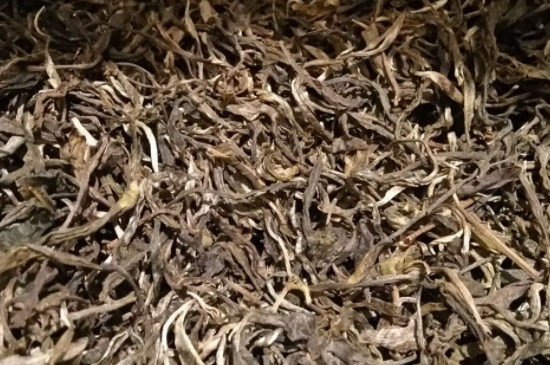晒青毛茶是生普吗