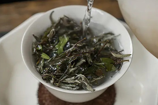 福鼎大毫茶與福鼎大白茶區別