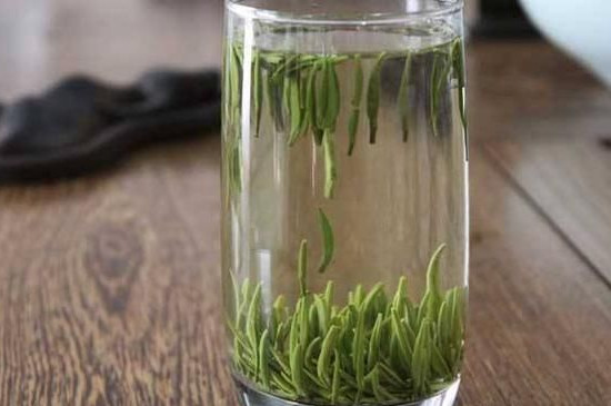 信陽毛尖屬於什麼茶