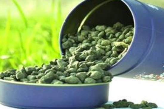 兰贵人茶属于什么茶