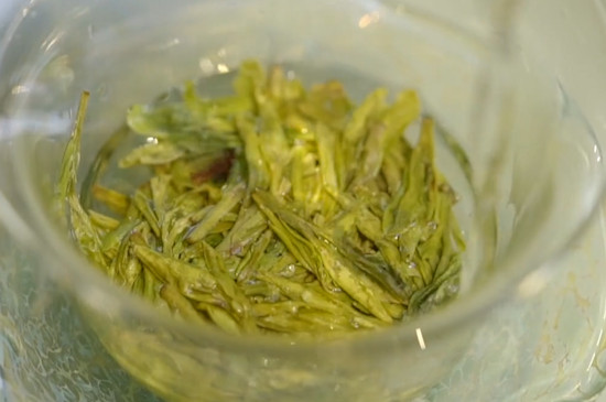 綠茶的沖泡