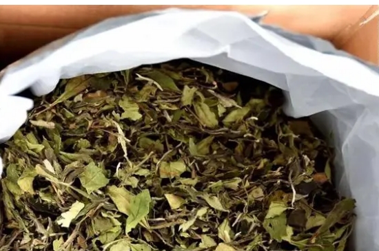老白茶保存方法和时间