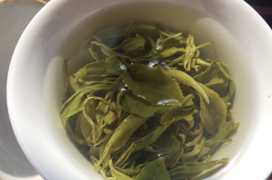 碧螺春可以一直泡著嗎