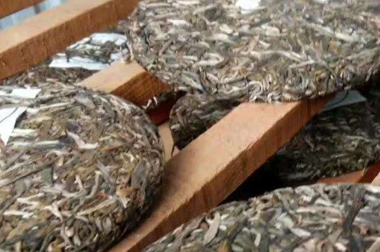 梅子箐古树茶特点