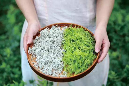 正宗莓茶多少錢一斤
