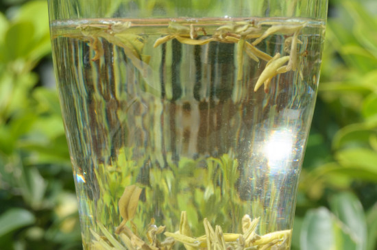 蒙頂甘露茶怎麼泡 四川蒙頂甘露茶葉的沖泡
