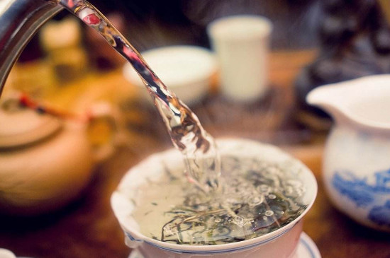 保塘老寨古树茶特点