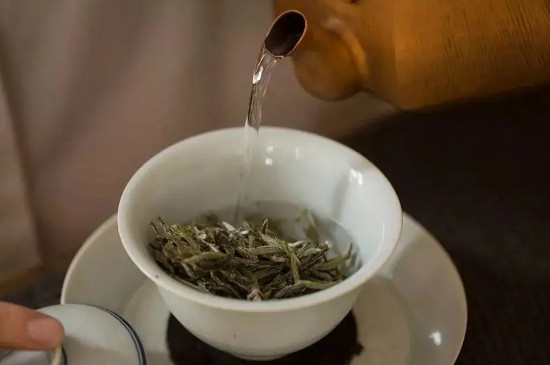 福鼎白茶要煮嗎