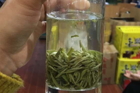 碧螺春和毛尖哪个好喝