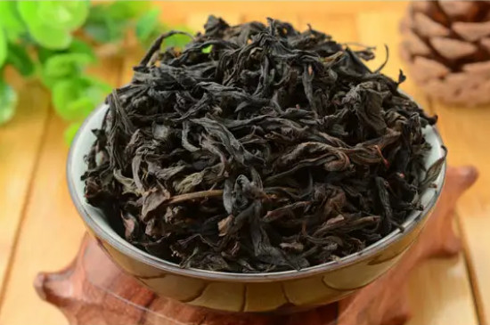 水金龜屬於肉桂還是水仙