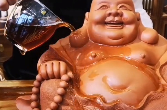 怎么养茶宠