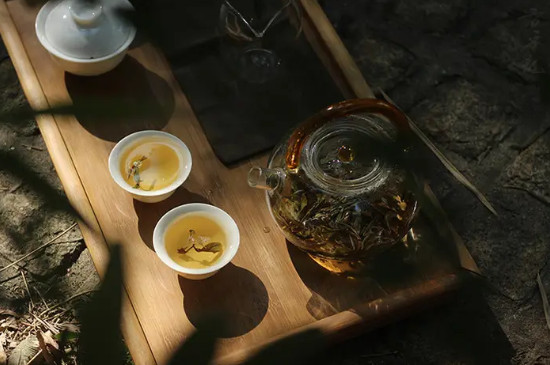 方守龍白茶春夏秋冬茶滋味