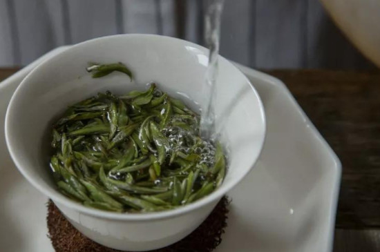 福鼎白茶怎么泡 福鼎白茶怎么喝才正确方法