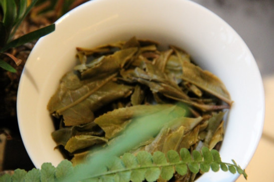 普洱茶会过期吗