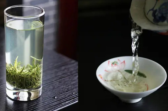 毛尖茶的泡法