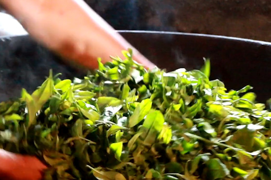 普洱茶属于什么茶