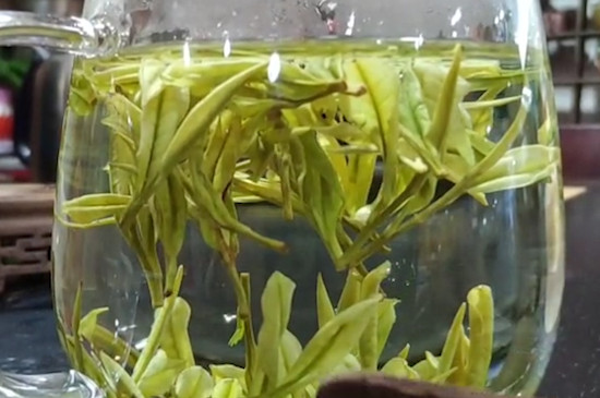 安吉白茶有什麼特點